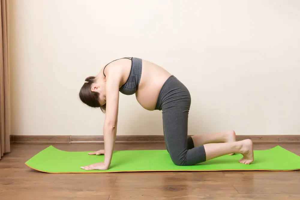 Tư thế Mèo – Cat Pose Tư thế Mèo – Cat Pose